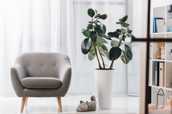 Rośliny w sypialni – które pomagają lepiej spać?